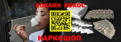 индика Гай