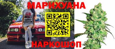 индика Гай