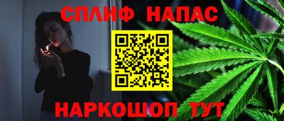 индика Гай